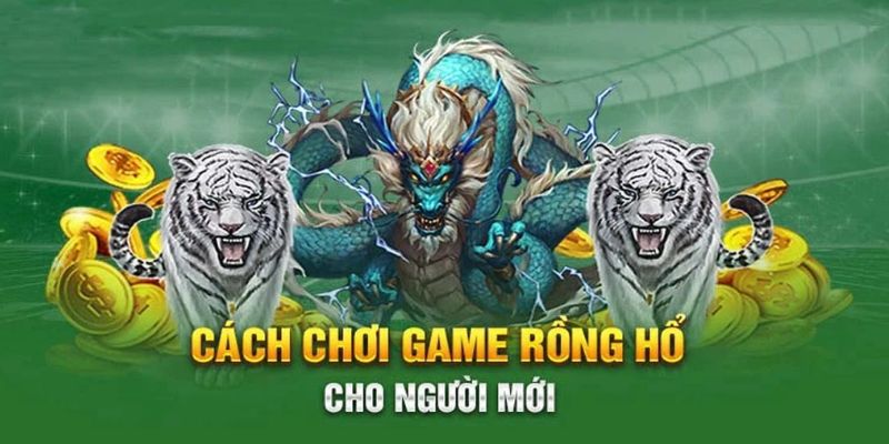 Thông tin quan trọng khi tham gia Dragon Tiger